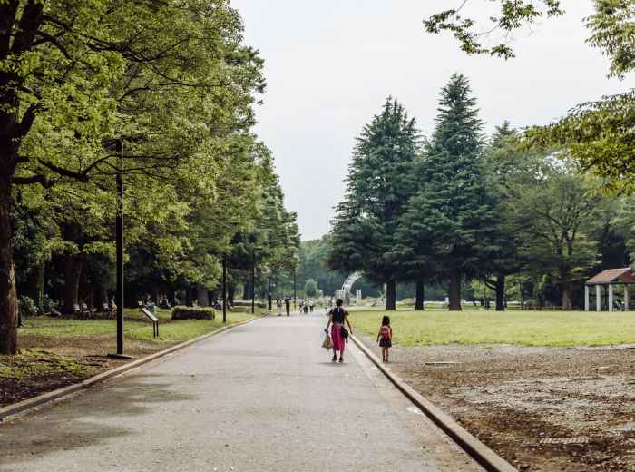 Hidden Gems of Tokyo Tours