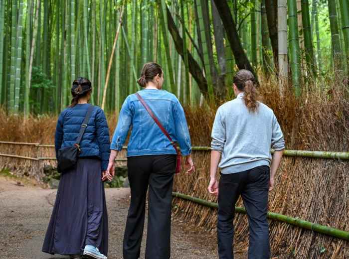 A guided tour in Kyoto's Bamboo Forest