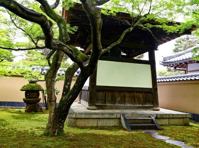 Visiting Kyoto's hidden gems and natural beauty