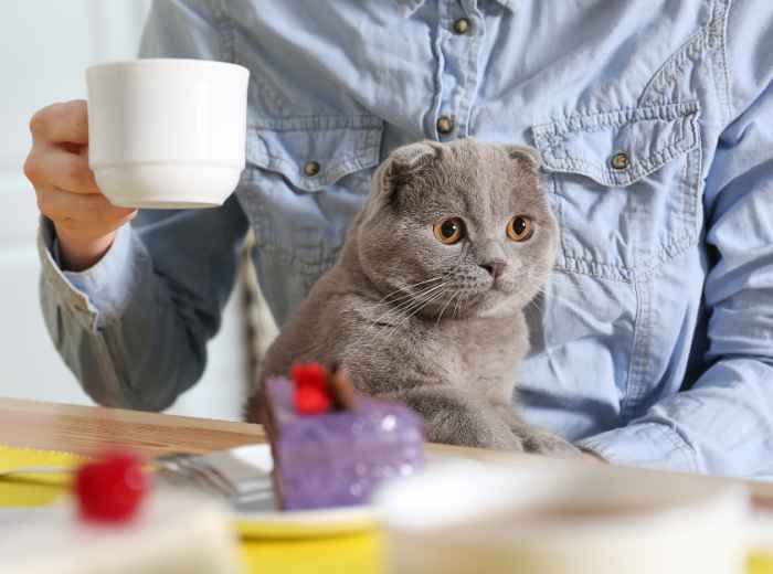 City Unscripted article image