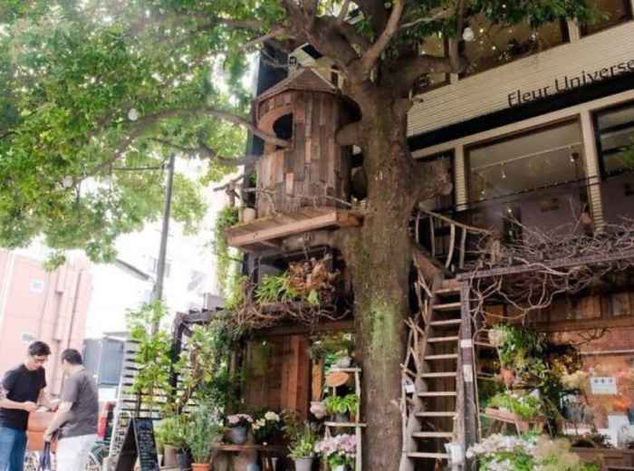 City Unscripted article image