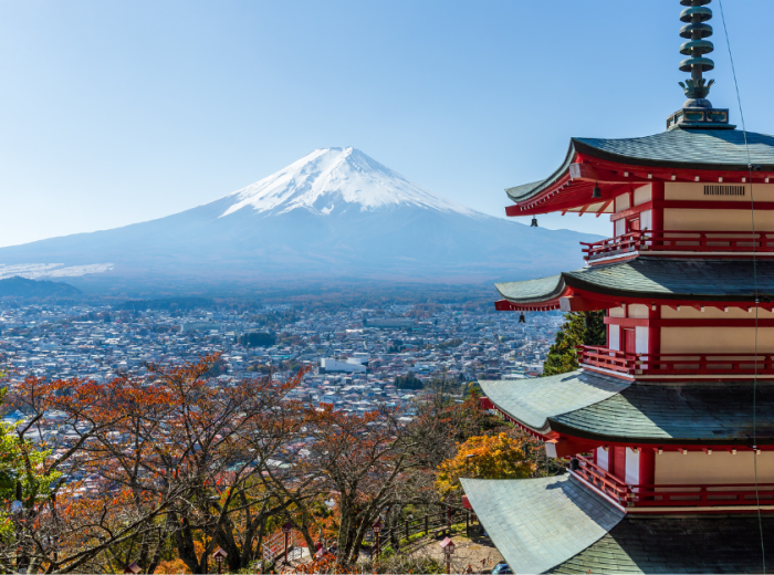 City Unscripted article image