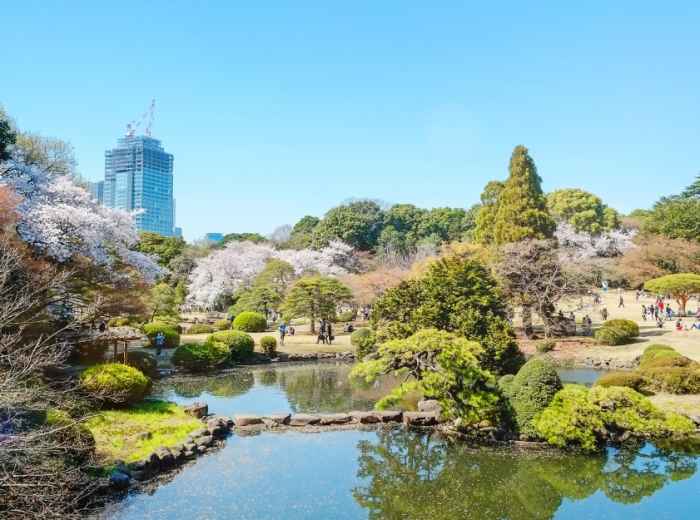 City Unscripted article image