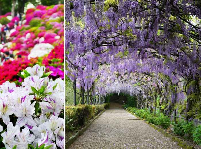 City Unscripted article image