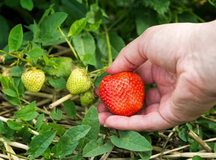 City Unscripted article image