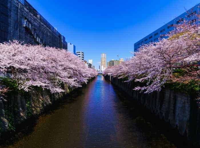 City Unscripted article image