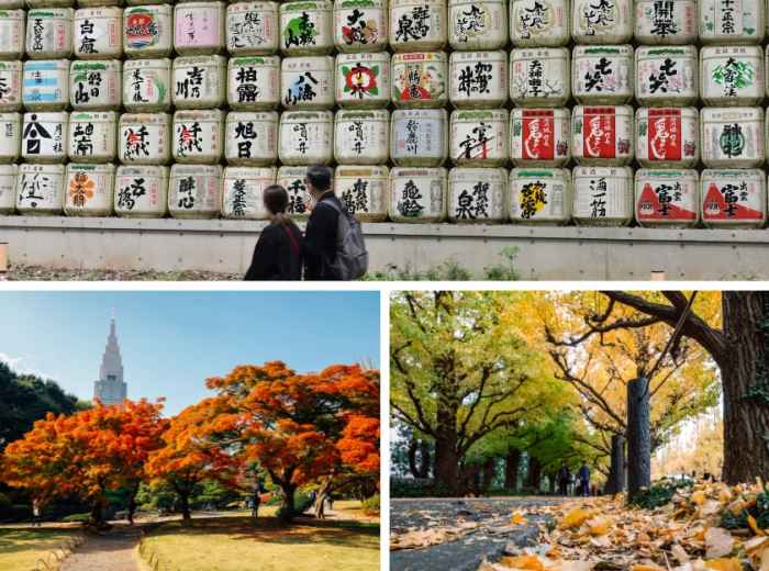 When is Fall in Tokyo?