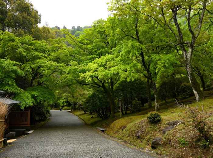 City Unscripted article image