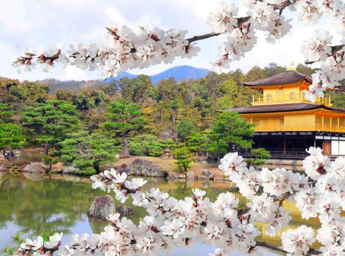 City Unscripted article image