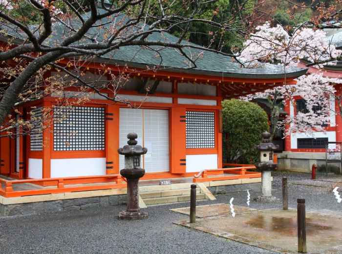 City Unscripted article image