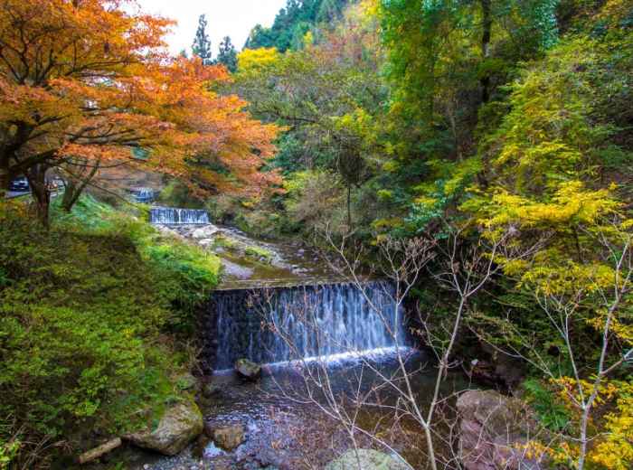 City Unscripted article image