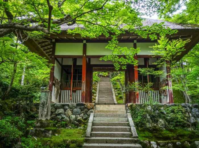 City Unscripted article image