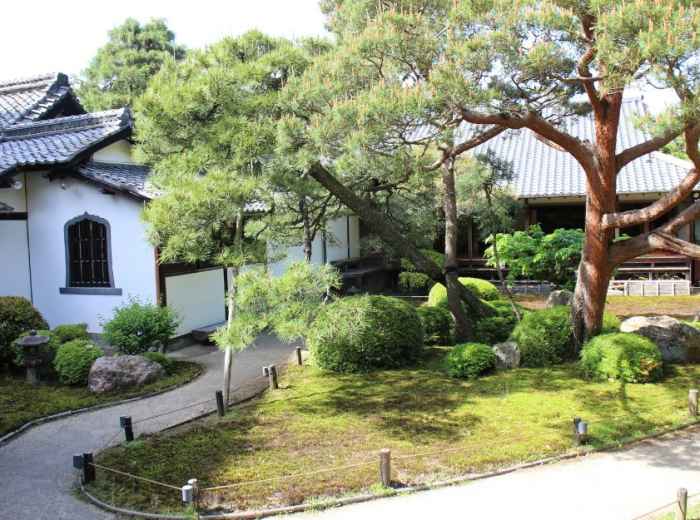 City Unscripted article image