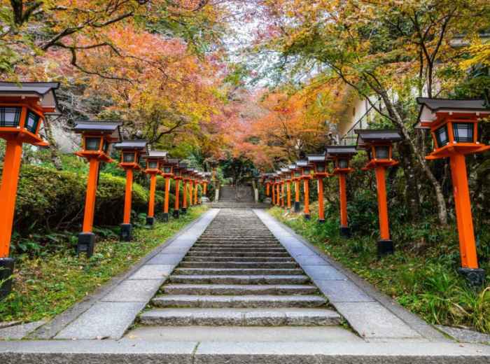 City Unscripted article image