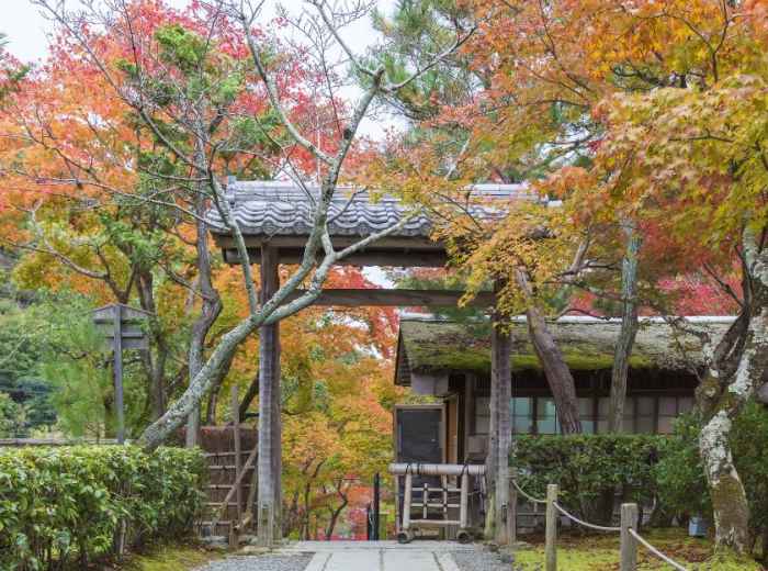 City Unscripted article image