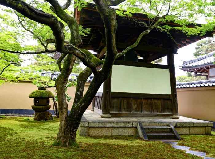 City Unscripted article image