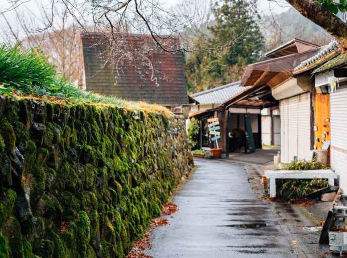 City Unscripted article image