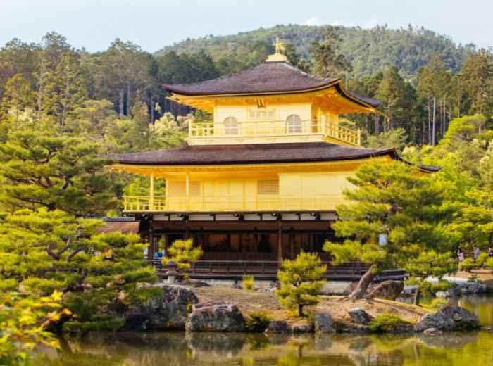 City Unscripted article image