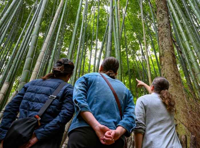 City Unscripted article image