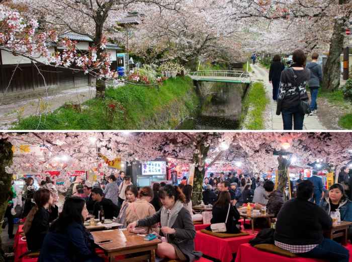 City Unscripted article image