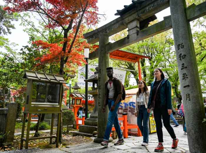Planning your Kyoto trip: Tips and insights