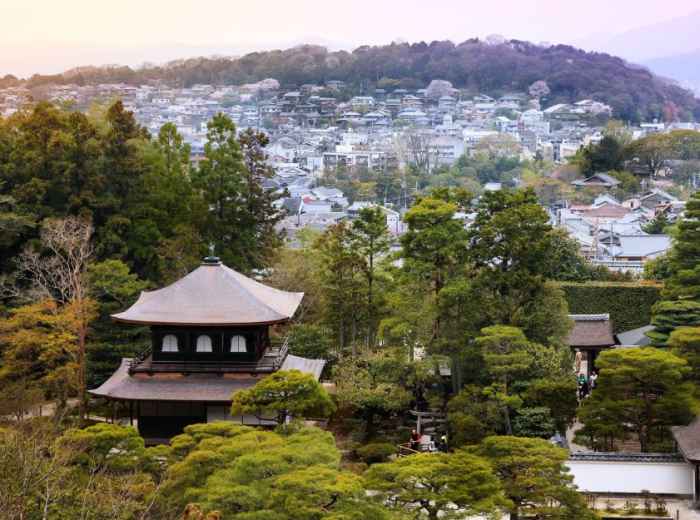 City Unscripted article image