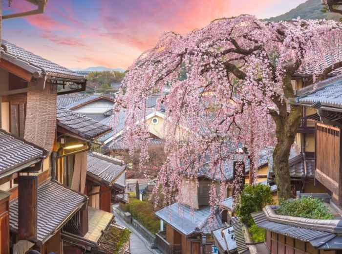 City Unscripted article image