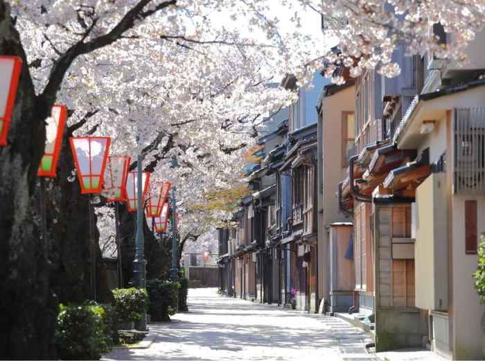 City Unscripted article image