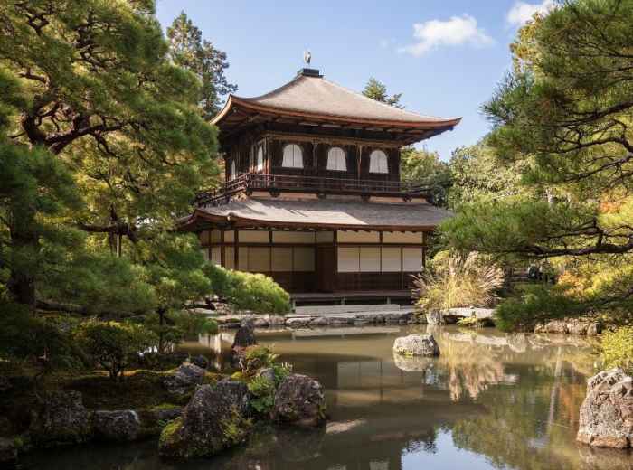 City Unscripted article image