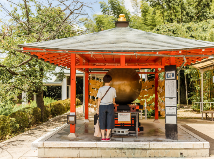 City Unscripted article image