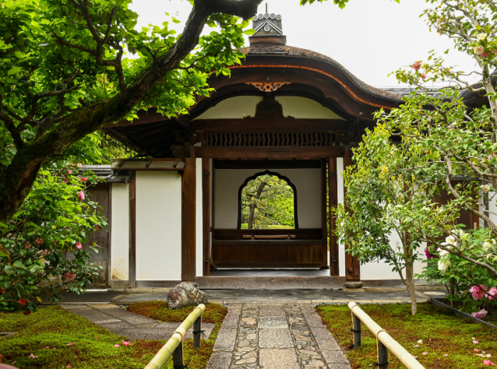 City Unscripted article image