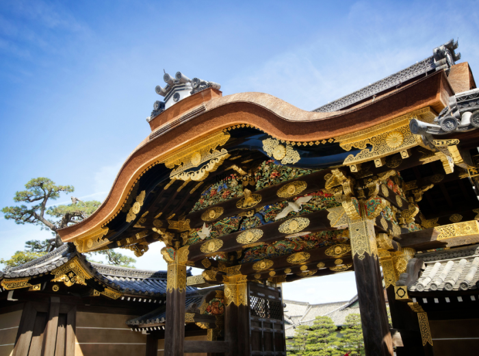 City Unscripted article image