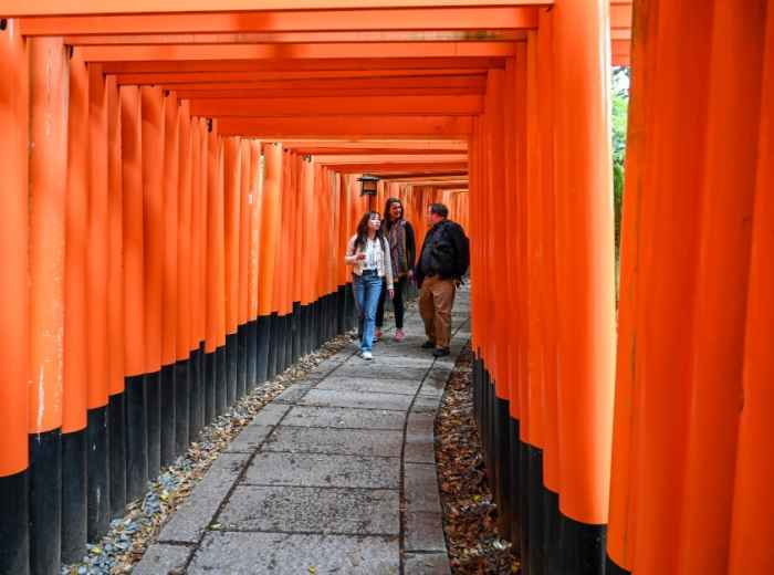 Book a private Kyoto tour to see the best of Kyoto