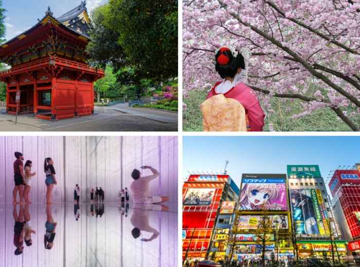 From  historical tales into immersive digital art 