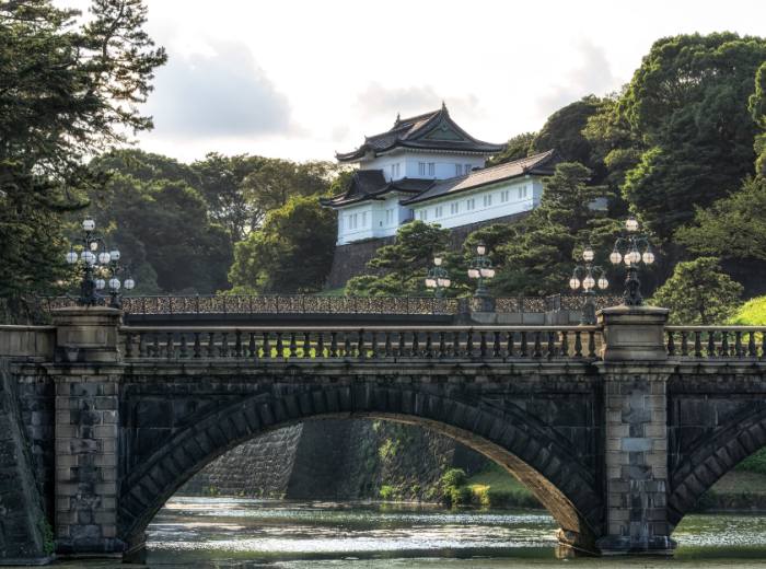 See Tokyo with a private guide