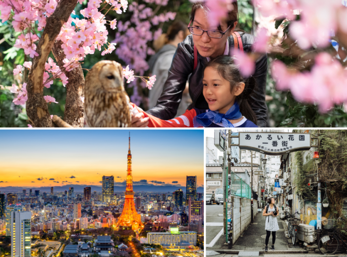 family admiring an owl, Tokyo city, lady standing under