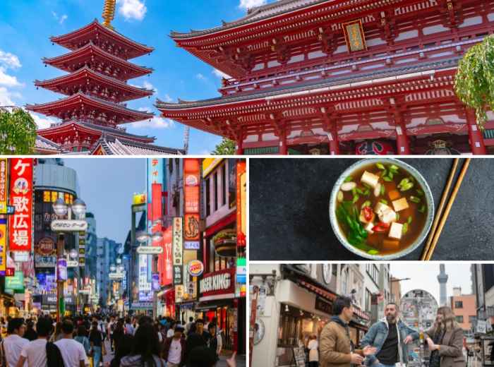 Visit Tokyos main attractions 