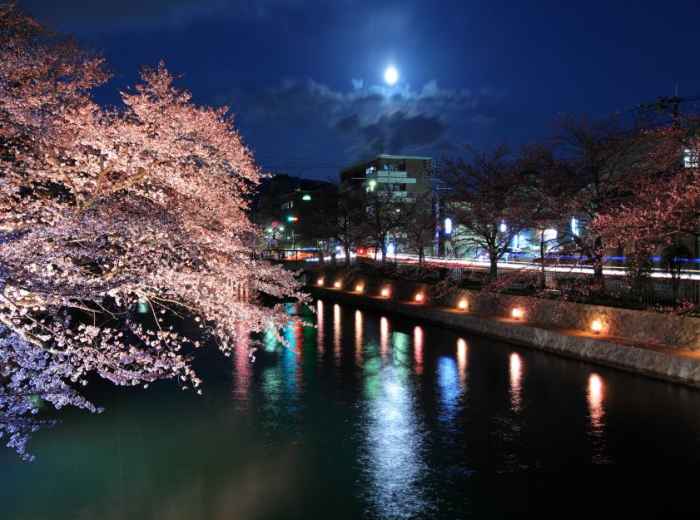 Kyoto tours allow you to explore more