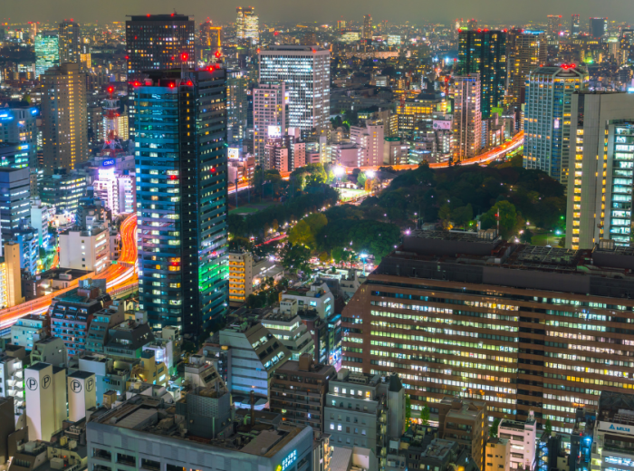 Spend time with local guides and see the sightings in T