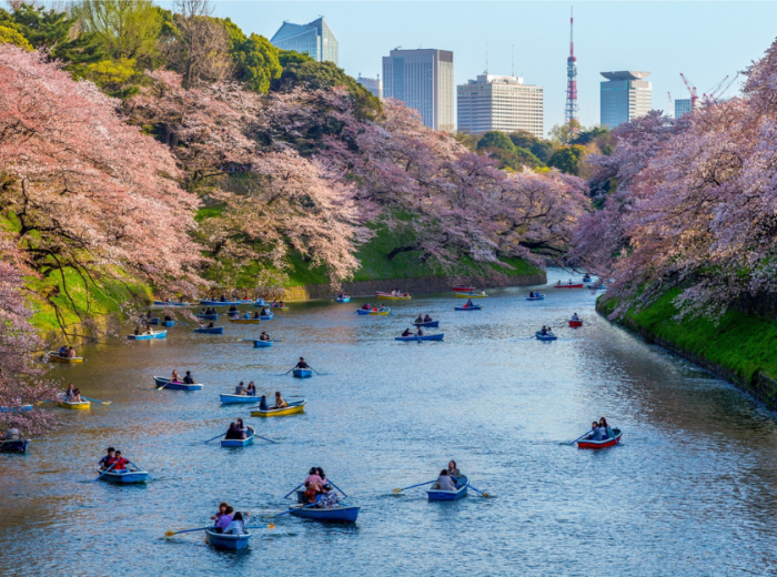 Inokashira Park and the Studio Ghibli Museum