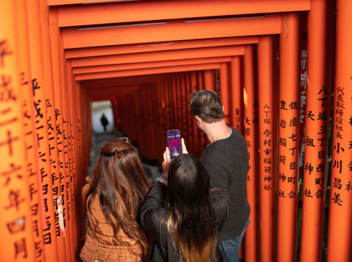 Tokyo Multi Day Tours: Come Join Me for Yours!
