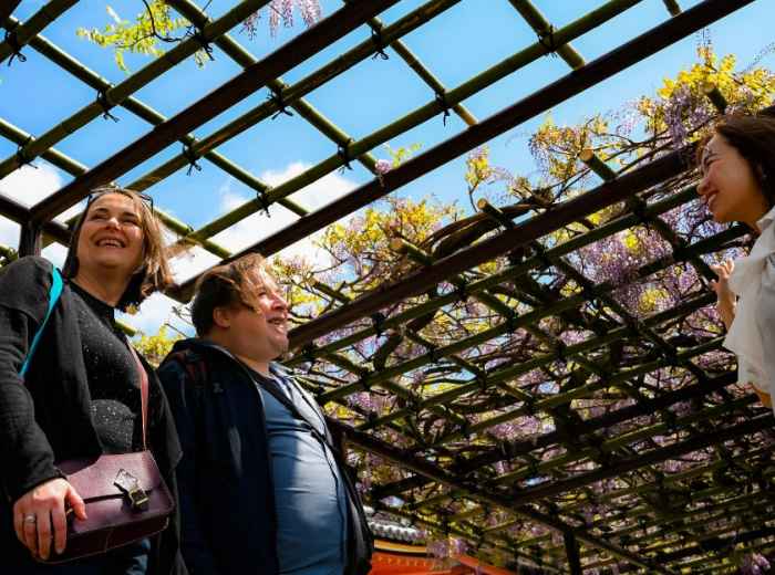 Enjoy the vibrant culture of Japan with our private tou