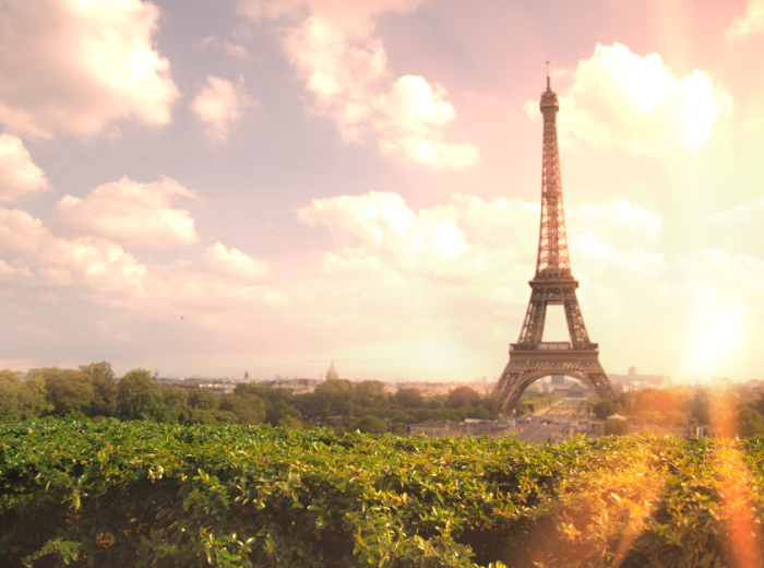 City Unscripted article image