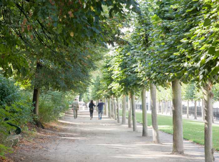 City Unscripted article image