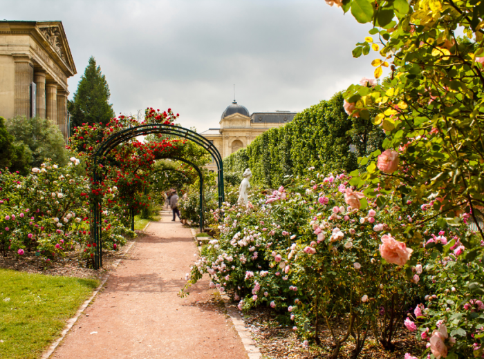 City Unscripted article image