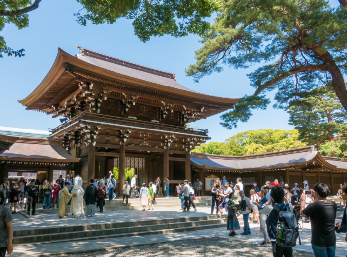 Join your private guide in Tokyo and learn the sights o
