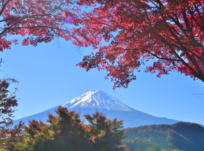 Day trip from Tokyo to Mount Fuji, Japan