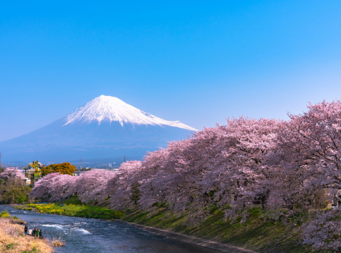Embark on a Fuji tour when visiting Japan