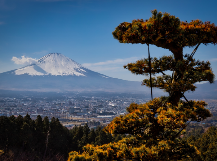 Mount Fuji day trip, Japan
