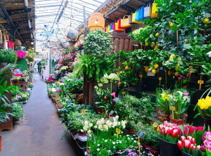 Nestled within the heart of the Île de la Cité